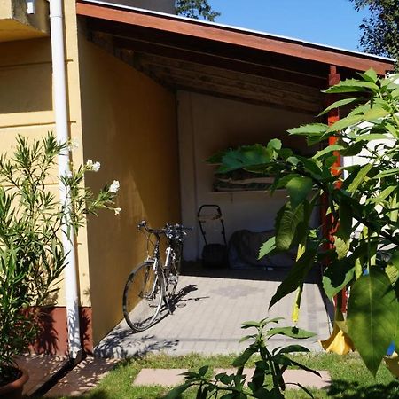Akacia Apartment - Free Inside Parking, 2 Bedrooms, Garden, Next To Centre Budapest Eksteriør bilde